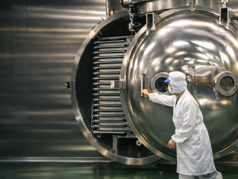 Production worker loading or unloading trays at a freeze-drying chamber