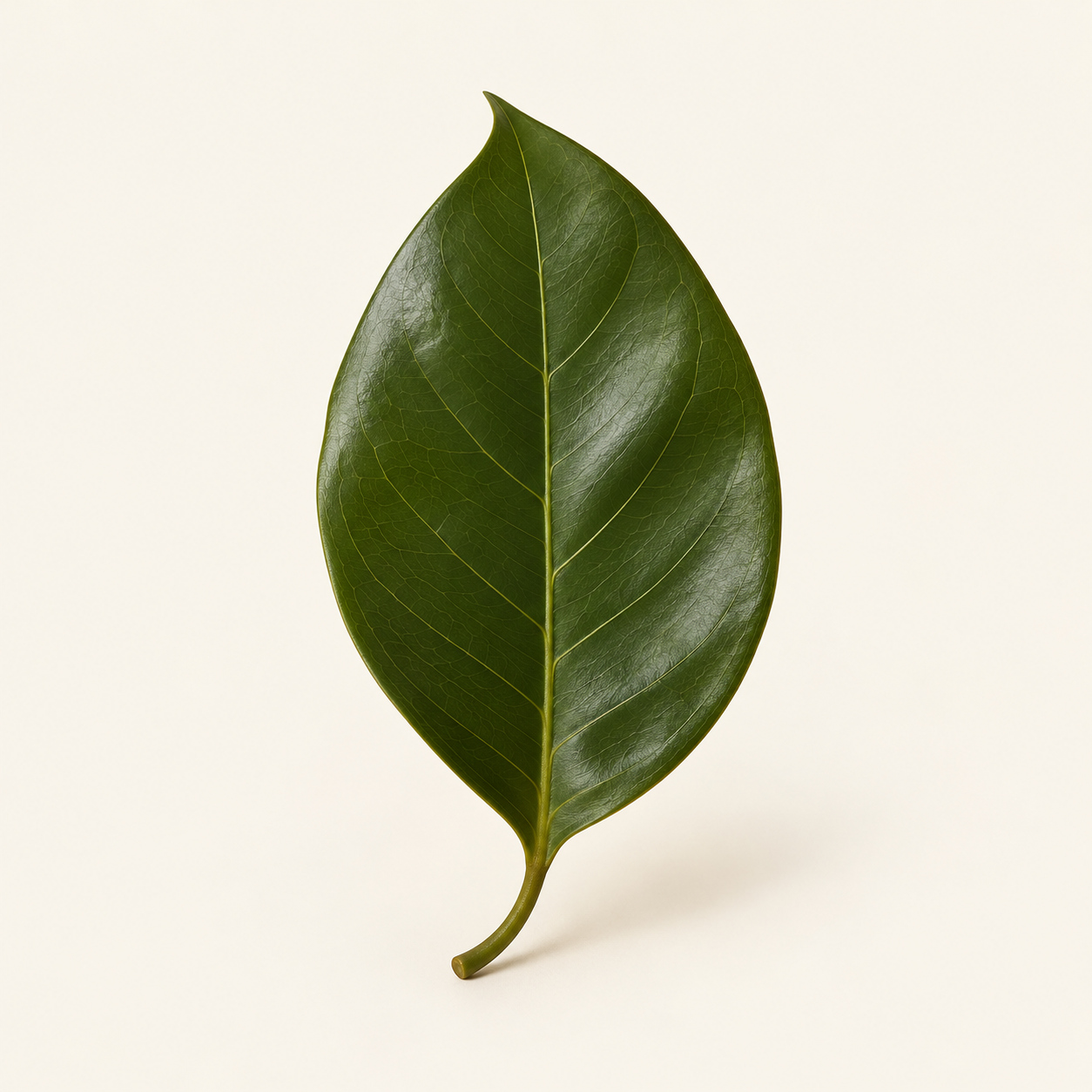 Gluten-free illustrative motif