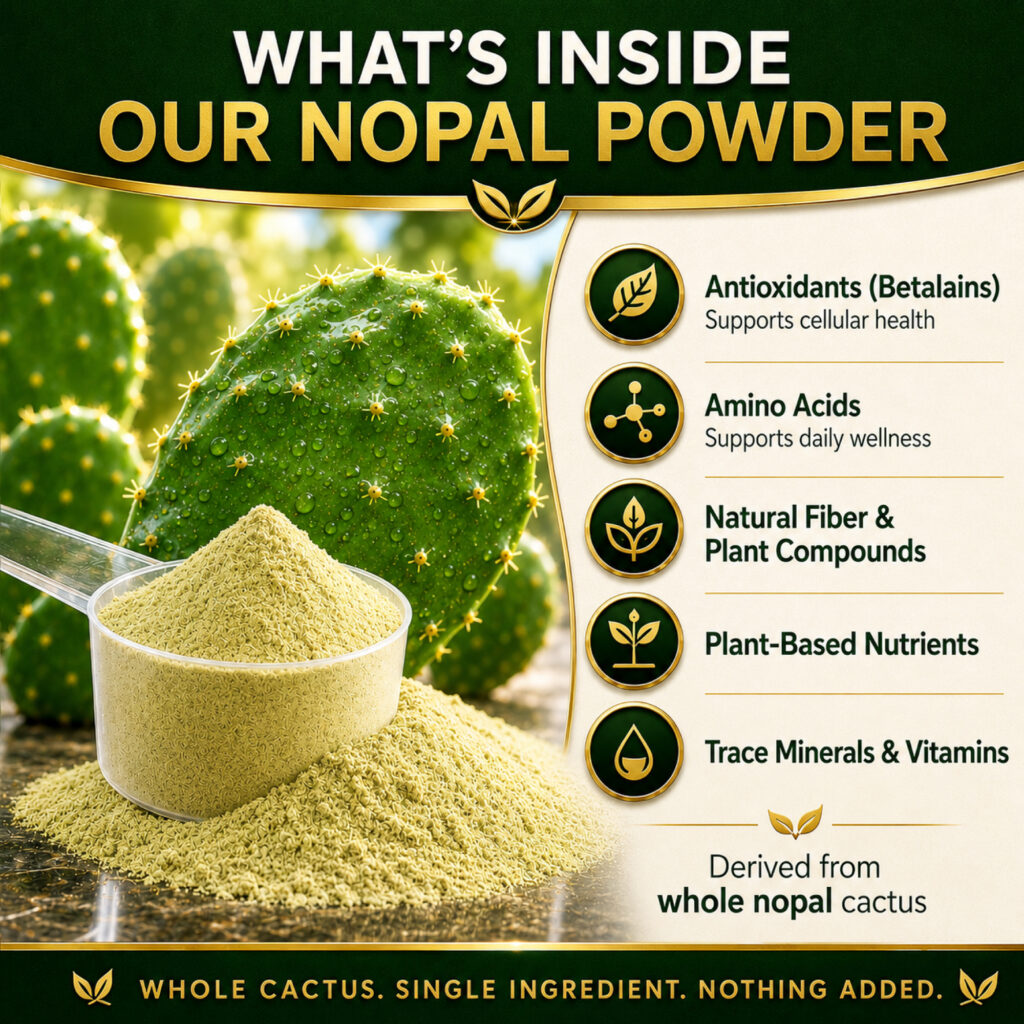 Natural Home Cures Nopal powder: Inside the powder