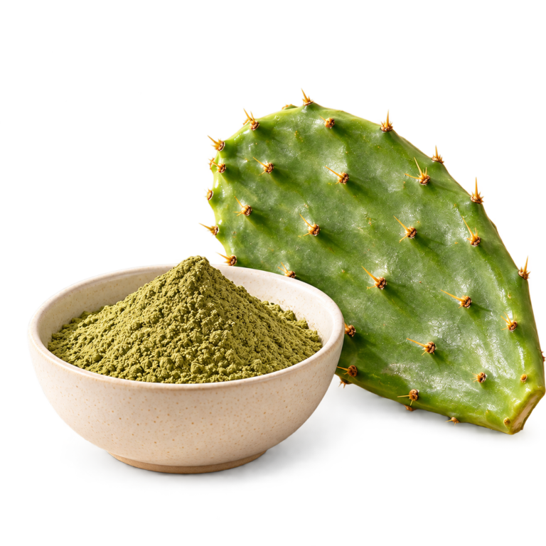 Natural Home Cures Nopal Powder