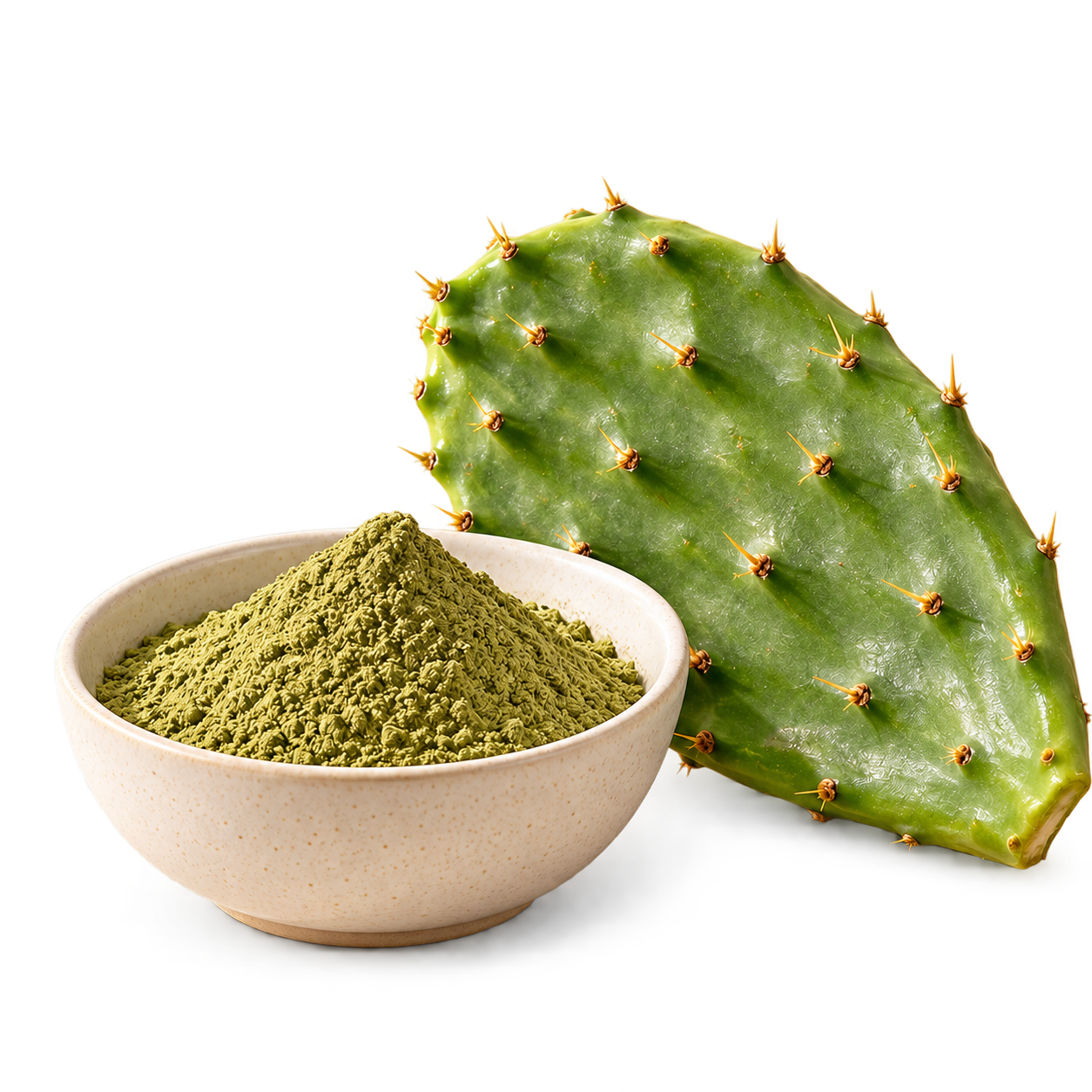 Nopal cactus powder and a cactus pad